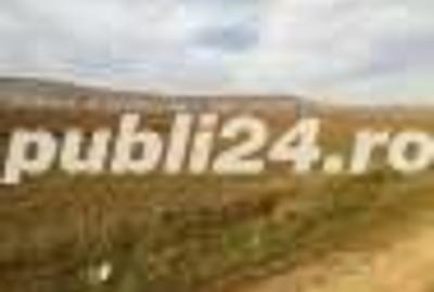 Teren de 600 mp, în Central - 5