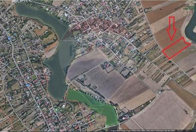 Teren Agricol, Intravilan vanzare, in Calarasi, Belciugatele - 3