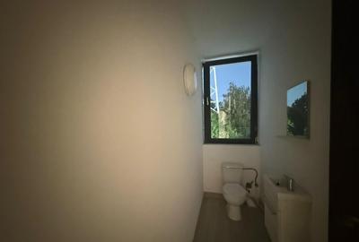 Spatiu comercial de inchiriat, Bragadiru - 12