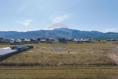 Comision 0 %! Teren de vanzare 686 mp, Cristian! - 2