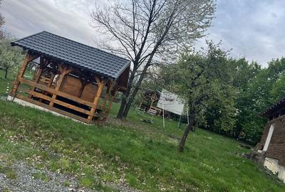 Spațiu comercial, în Satu Nou de Sus - 1