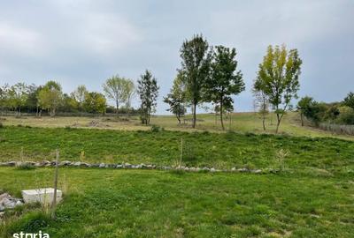 Teren de 11600 mp, în Viile Satu Mare - 7