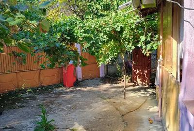 Casă cu 3 camere în Călina - 9