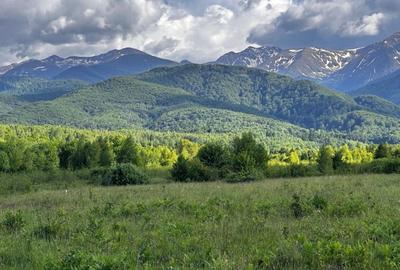 Teren  de vanzare -PUZ aprobat | 860 mp |  Valea Avrigului - 6