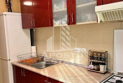 Apartament cu 3 camere semidecomandat, mobilat în Girocului - 11