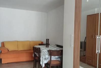 Casă cu 2 camere în Turda - 8