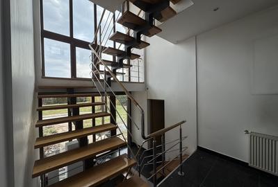 Birou, de 350 mp, în Europa - 8