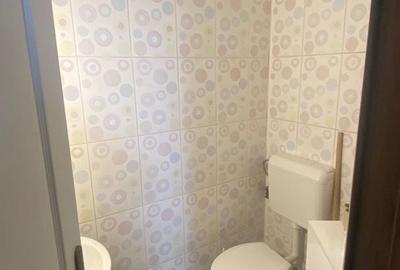 Apartament cu 3 camere semidecomandat în Domenii - 11