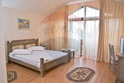 Hotel/Pensiune, de 2,950 mp, în Pănicel - 7