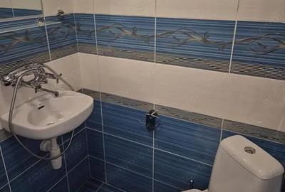 Garsoniera de inchiriat in centrul civic zona AFI Mall - 2