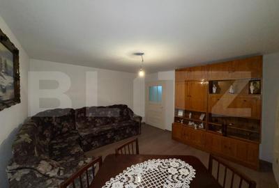 Casă cu 4 camere cu Teren 5594 Mp în Criș - 7