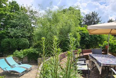 Casă cu 7 camere cu Piscina în Săftica - 8