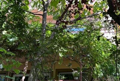 Casă individuală Buftea, 3.162 mp teren, ieșire spre lac Casă individuală Buftea, 3.162 mp teren, ieșire spre lac - 40