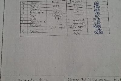 Apartament cu 2 camere semidecomandat în Nicolae Grigorescu - 2