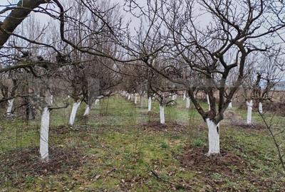 Teren de vanzare, 9000 mp, Zona Aurel Vlaicu - 1