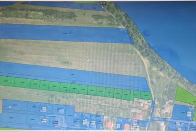 Teren Construcții intravilan de 500 mp, în Dumbrava (Ciurea) - 3