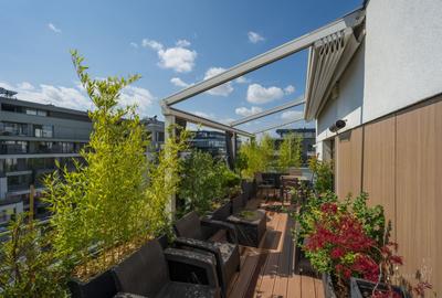 Penthouse de Vanzare Petru Rares | Ela Victoriei - 15