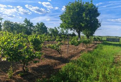 VANZARE CASA INDIVIDUALA - 29