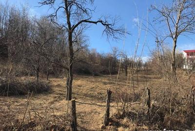 Teren Breaza 4400 mp - 1