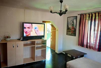 Casă cu 3 camere cu Teren 1600 Mp în Central - 9