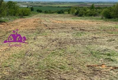 Teren extravilan  zona Episcopia - 1