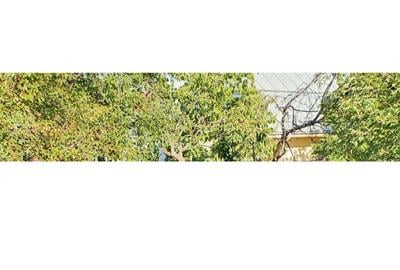 Casă cu Teren 308 Mp în Central - 4