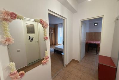 Apartament cu 1 camera in Mazasti,zona Iulius Mall,bloc nou - 2