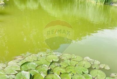 Casă cu 4 camere cu Teren 286 Mp în Snagov - 16