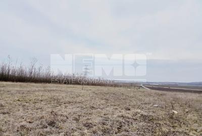 Teren Construcții intravilan de 6000 mp, în Cumpărătura - 1