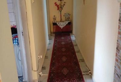Casă cu Teren 1500 Mp în Mircea Vodă