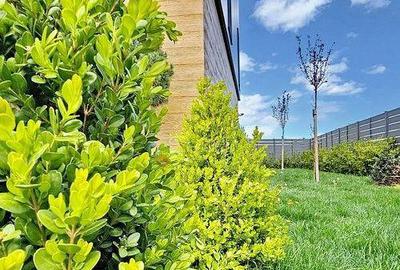 Casă cu 5 camere cu Canalizare în Ghimbav Livadă - 2