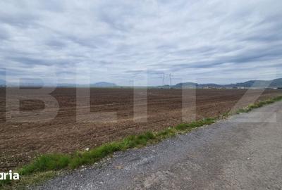 Teren de 18000 mp, în Hărman - 1
