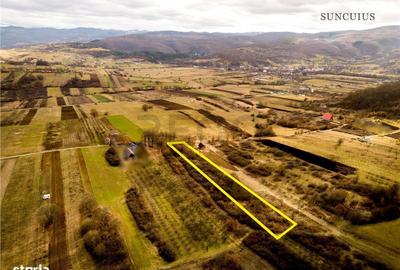 Spațiu comercial, în Vadu Crișului - 1