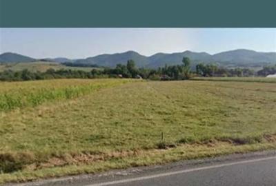 Teren Construcții intravilan de 2900 mp, în Borod - 2