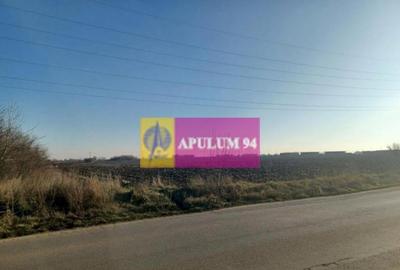 Sabareni, teren intravilan 8800 mp, pe DJ 602, pretabil... - 3