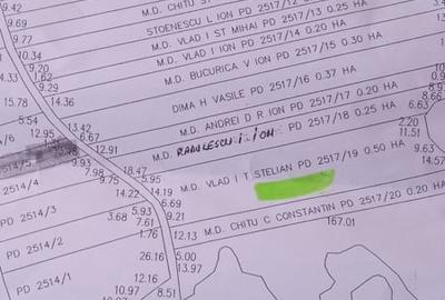 Teren de 5000 mp, în Bănești - 4