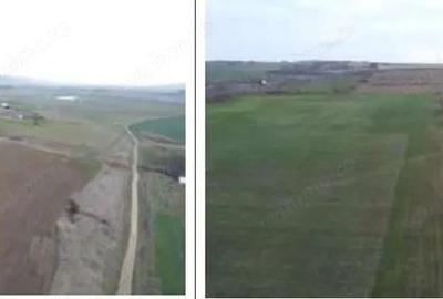 Teren Albesti, Vaslui, ID: R2893960 - 3