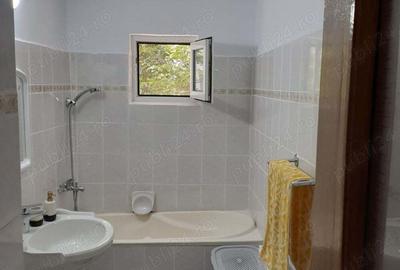 Inchiriere termen lung zona OMW Boema CT - 2