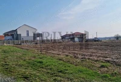 Teren de 701 mp, în Dumbrăvița