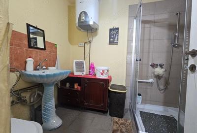 Casă cu 2 camere cu Teren 388 Mp în Dorobanților - 3