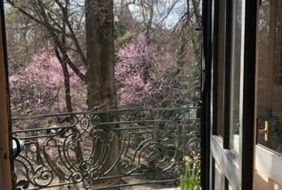 Vila Ion Voicu de vanzare - partial - etaj 1 si mansarda - Parcul Ioanid - 9