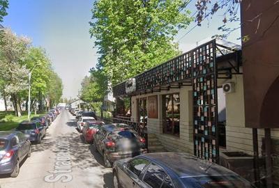 Spațiu comercial, de 600 mp, în Copou - 1