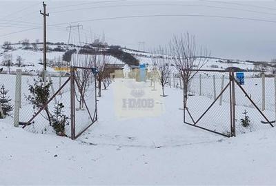 Gradina de vanzare cu apa si curent 700 mp in Sura Mare - 10