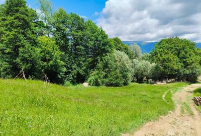 Spațiu comercial, în Nucșoara - 7