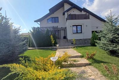 VILĂ CU 5 CAMERE - 150 MP UTILI - BECI, GARAJ, 717 MP TEREN, VIȘAN-BUCIUM - 34