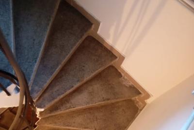 Apartament 2 camere in Vila Domenii - 12