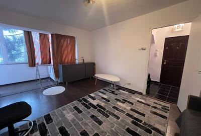 Apartament cu 2 camere semidecomandat în Gojdu - 13