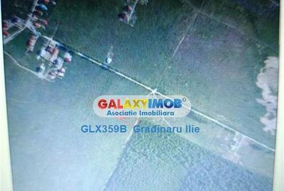 Teren 2000 mp in Magurele Ilfov - 3
