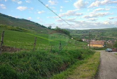 Teren intravilan in Tarnaveni! - 2