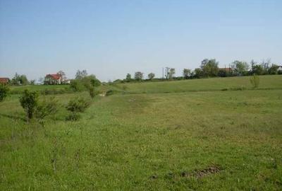 Spațiu comercial, în Central